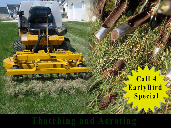 Aerating-Thatching-EarlyBird